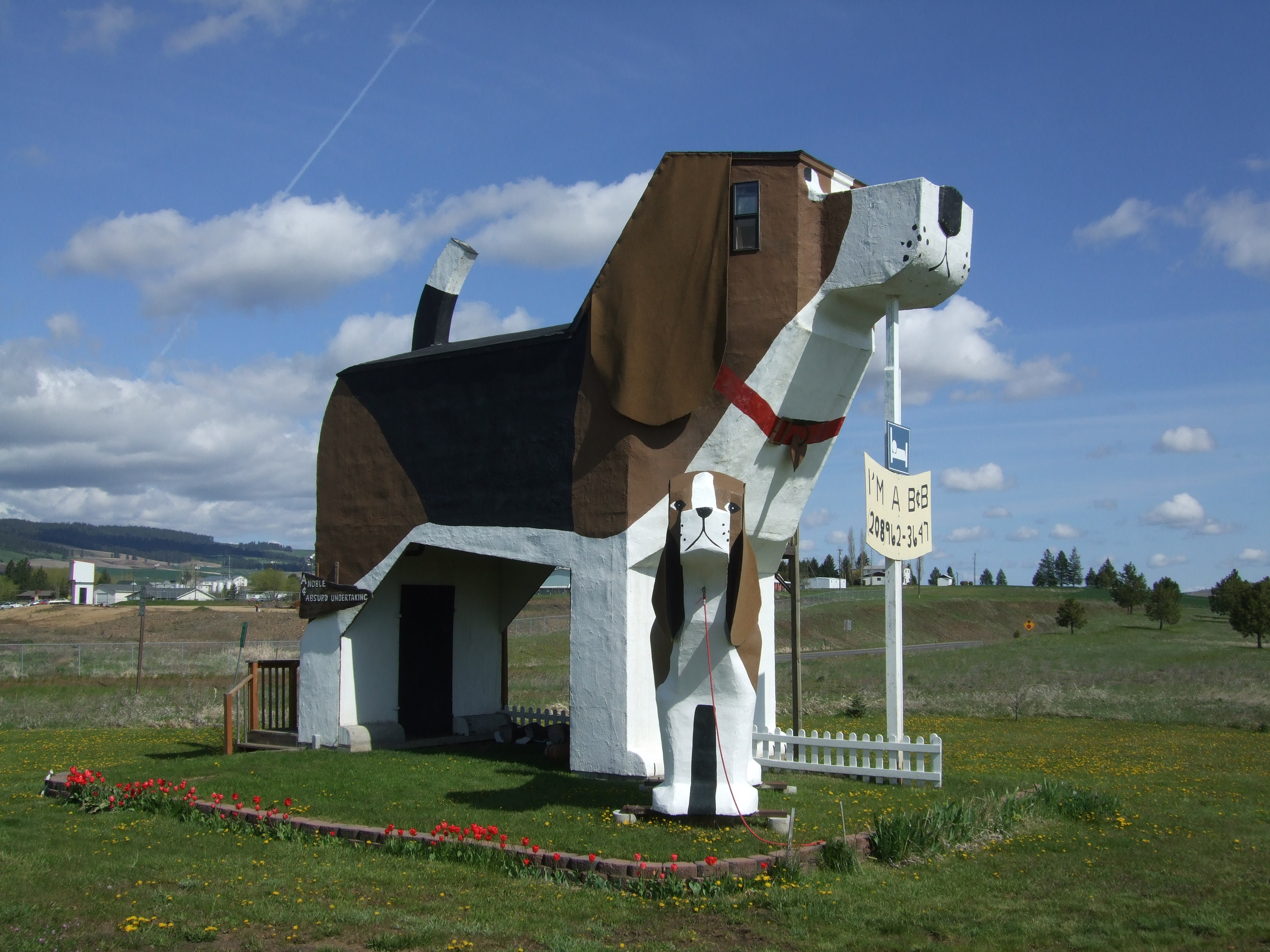 hund-haus-skulptur-001-001